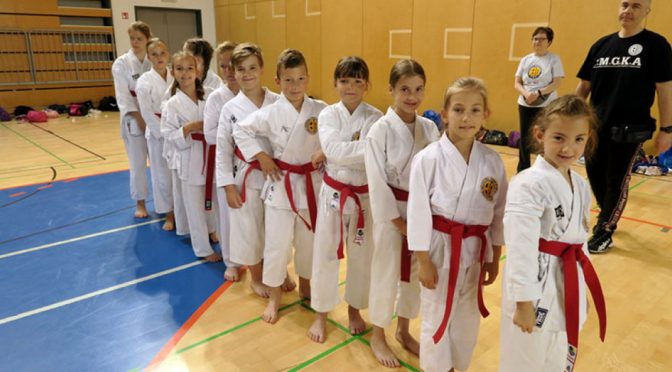 Člani Karate kluba Brežice Niko, Luka in Gašper državni ekipni prvaki