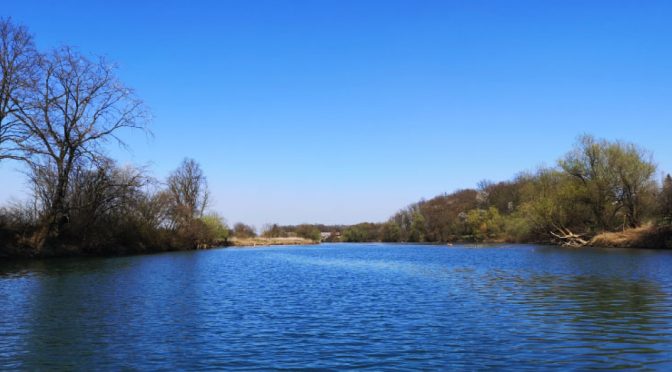 Tudi reka Krka v brežiški občini je primerna za kopanje