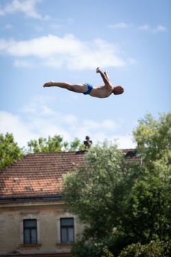 FOTO: Leti, leti lastovka. S Kandijskega mostu v Krko ...