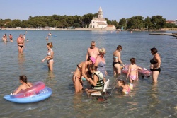 FOTO: Sončkova družinska kolonija na otoku Pašman