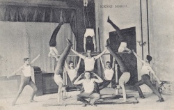 Razglednica Sokol Krško, 1911, inv. št.: Z3-938