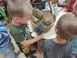 FOTO: Pestro dogajanje na Dnevih zeliščarstva v Beli krajini