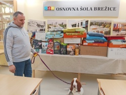 Dobrodelna akcija za živali na Osnovni šoli Brežice