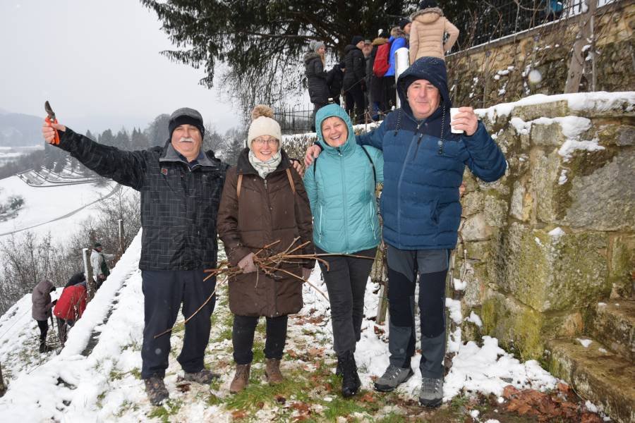 Grajska zimska rez (122)