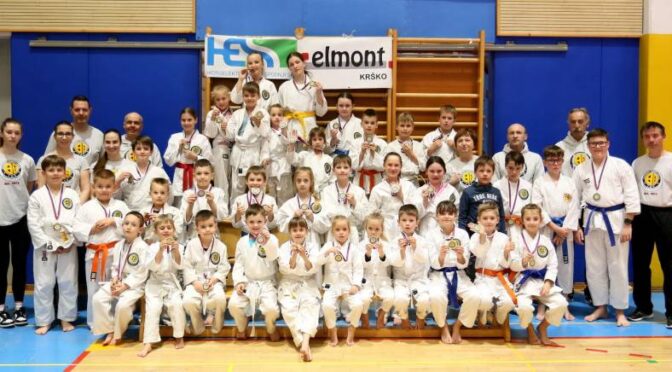 Karate klub Brežice organiziral IMGKA Pokal Posavja v športnih bojih in borbah na tarčo