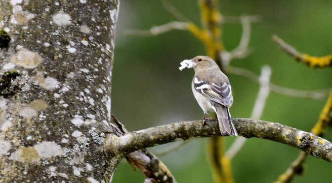 Photos from Discover Čatež & Brežice’s post