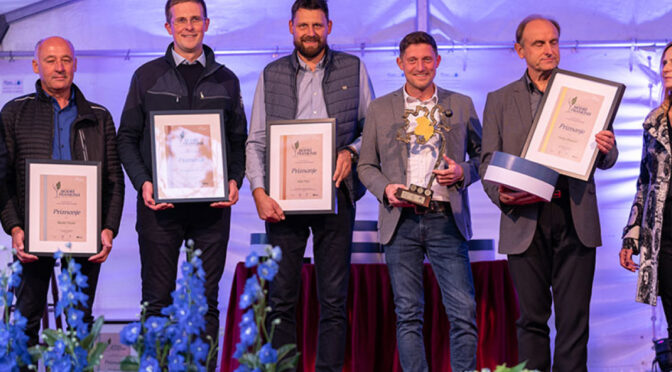 Modra frankinja iz Kleti Krško prvak festivala v Sevnici