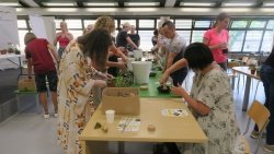 Z Miho Leitingerjem izdelovali rastlinske terarije, Zmajevke in Mozaike