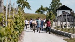 FOTO: Otvoritev poti po vinski gorici Rigelj