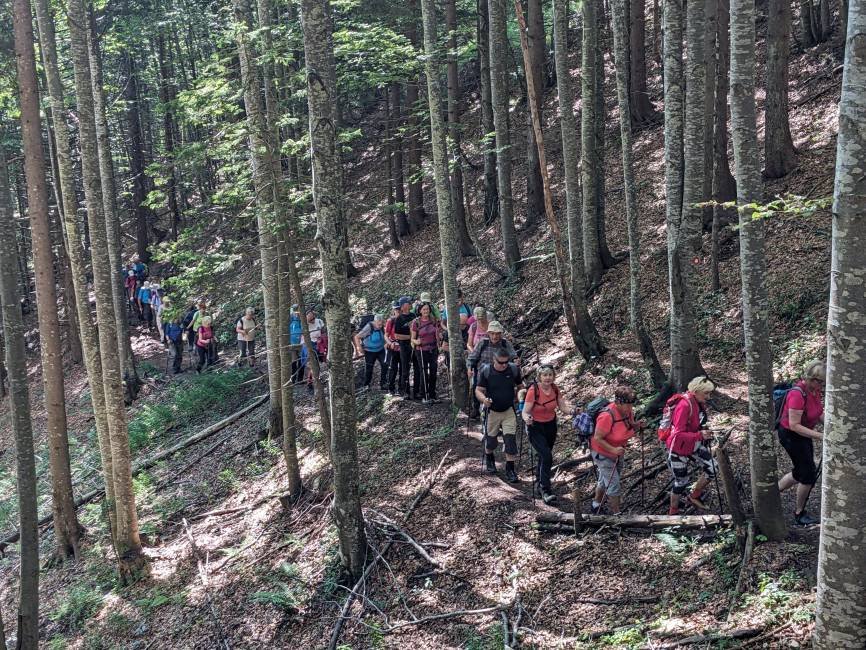 pohod starejsnih planincev Velika Planina (5)