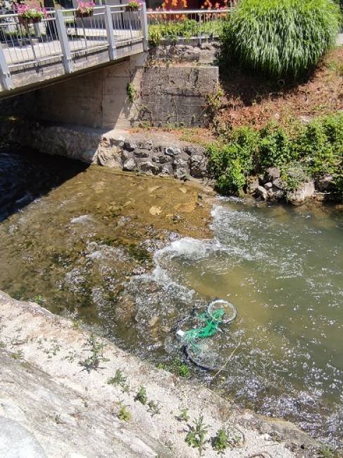 357443160_592218226399448_6183906056200513381_n