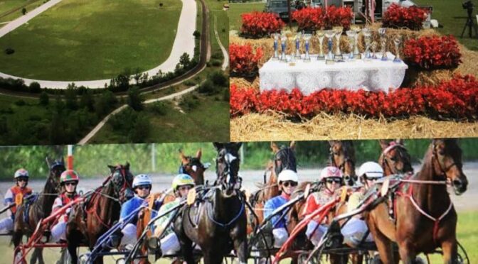 Na hipodromu Brege tudi letos tradicionalne kasaške dirke s Šampionatom Slovenije