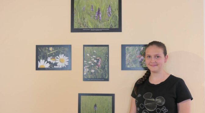 ​Fotografski natečaj Suhi travniki biosfernega območja Kozjansko in Obsotelje