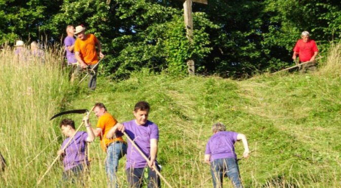 Tudi letos pokosili Cavsarja, najstarejši kosec je imel 84 let