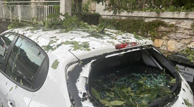 Posavske občine zbirajo prijave po uničujoči toči 13. julija