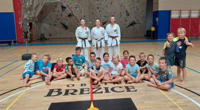 Karate klub Brežice povabil nove člane v svoje vrste na taboru aktivnih doživetij