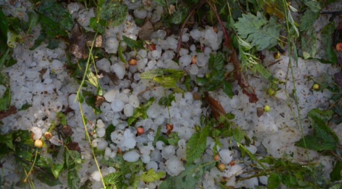 Po neurju v občini Sevnica brezplačen odvoz kosovnih odpadkov
