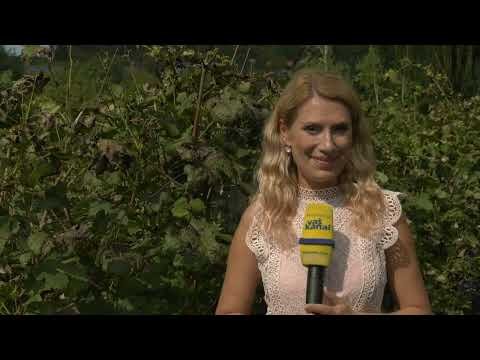 Posavski obzornik, 28. september 2023