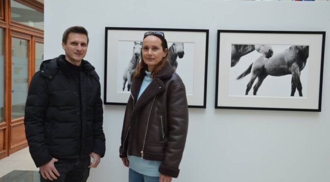 V avli UE Brežice razstavljene fotografije konjev družinske kmetije Vašcer