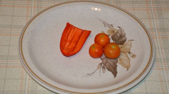 Anoreksija je bolezen sodobnega časa