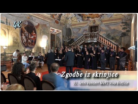 Viva Brežice- Zgodbe iz skrinje