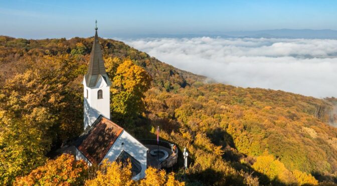 Čudovita jesen na Šentvidu 🤎🍂🍁