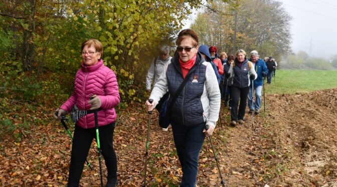 Tradicionalni Martinov pohod Društva upokojencev Otočec