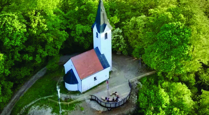 Pazljivo, na tej lokaciji bo potekala sečnja dreves