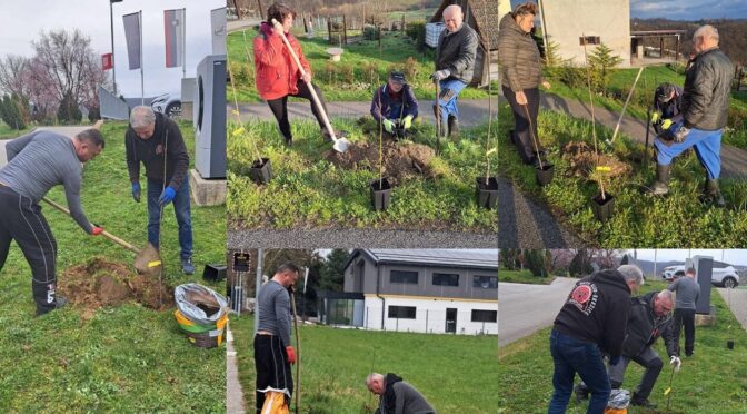 Občina Brežice uspešno zaključila sajenje medovitih rastlin v sklopu vseslovenskega projekta Čebelarske zveze Slovenije