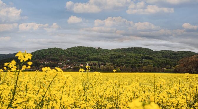 Visit Brežice’s cover photo