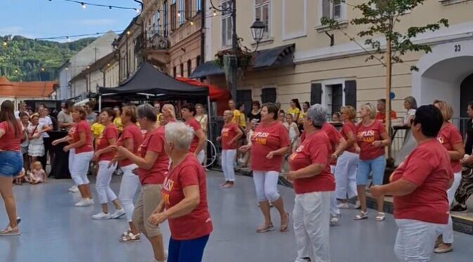 Za odličen začetek nedeljskega plesnega programa je poskrbela skupina Zapleši z nami iz Večgeneracijskega centra Brežice