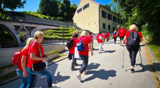 VitaMed – Sejem zdravega življenjskega sloga v Brežicah