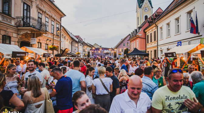 Brežice vodilna turistična destinacija vzhodne kohezijske regije