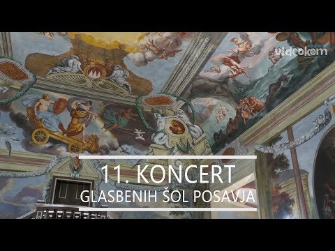 Koncert glasbenih šol Posavja 2026