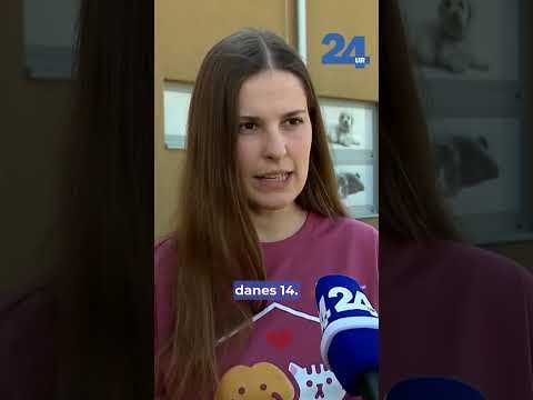 24UR | Odprta vrata mariborskega zavetišča