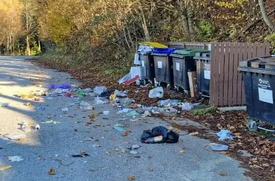 Ponoven porast divjih odlagališč