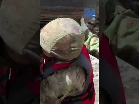 24UR | Reševanje po katastrofalnih poplavah in zemeljskem plazu se nadaljuje.