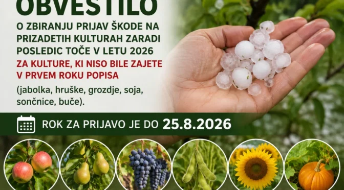 Obvestilo o zbiranju prijav škode na prizadetih kulturah zaradi posledic toče v letu 2026 za kulture, ki niso bile zajete v prvem roku popisa (jabolka, hruške, grozdje, soja, sončnice, buče)