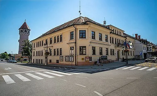 Pojasnilo glede ureditev cestnega odseka čez naselje Ribnica