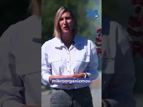 24UR┃Kje je meja med potrebno higieno in pretiravanjem? Za Inšpektor, Petra Čertanc Mavsar.