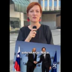 Levica