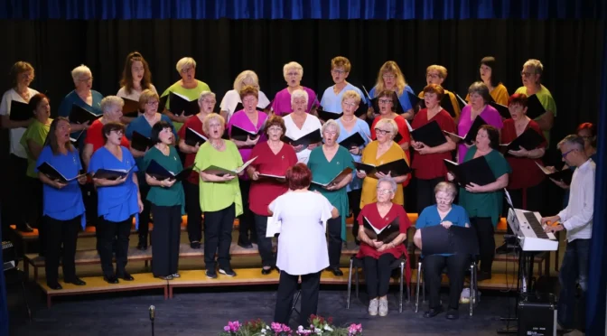 5 koncert leskovskih lastovk 01