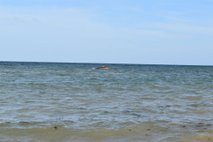 www.24ur.com