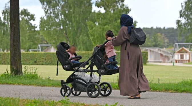Afp 20250715 dpa pa 536189312 v1 midres muslimwomanwithheadscarfmotherintraditi