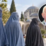 Burke moseja zmago jelincic foto ilustracija umetna inteligenca fa bobo