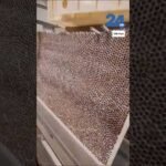 Hqdefault