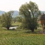 Jovsi