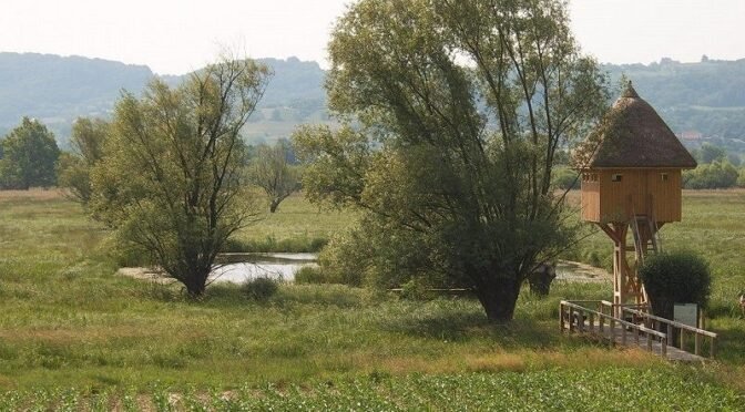 Jovsi
